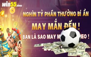 Cá Cược Bóng Đá WIN55